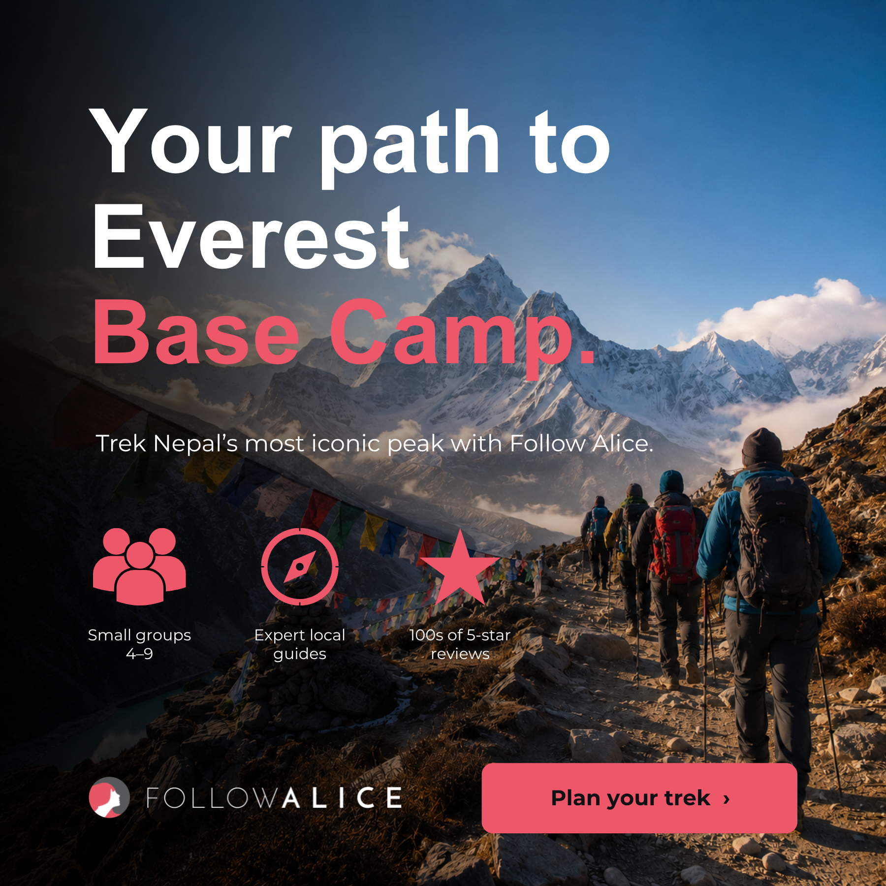 Follow Alice ad 1
